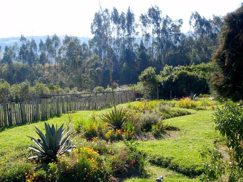 Lasso Hosteria Hotel Cuello De Luna - Cotopaxi - Country Inn מראה חיצוני תמונה